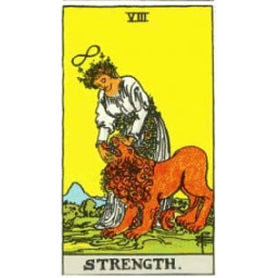 Strength icon preview