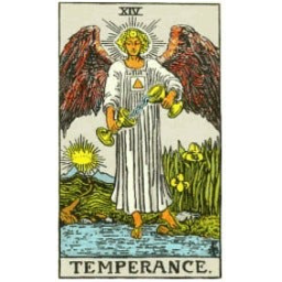 Temperance icon preview