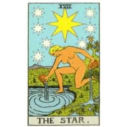 The Star icon preview