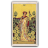 Nine of Pentacles icon preview