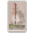 Ace of Wands icon preview